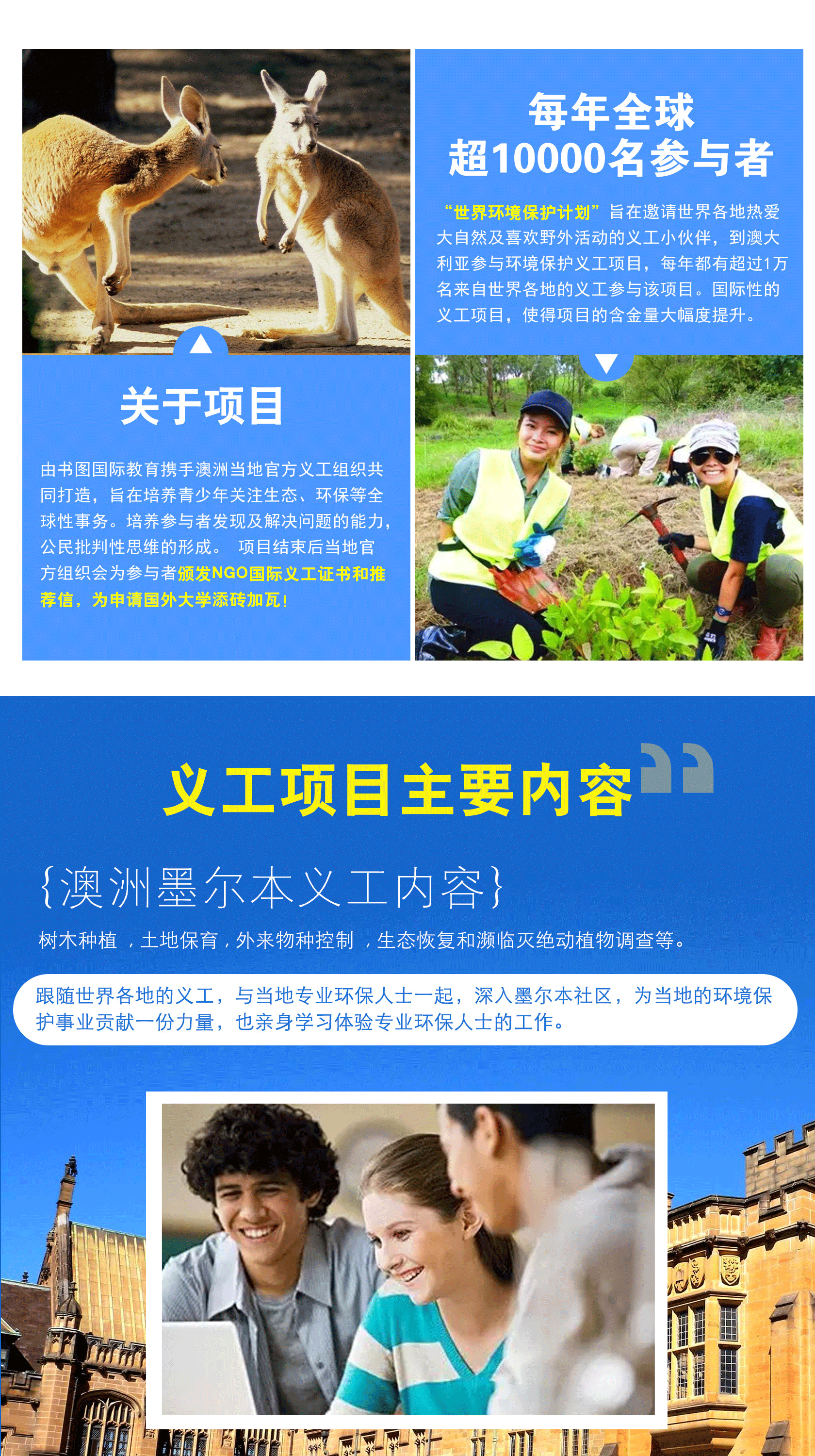 3.gif